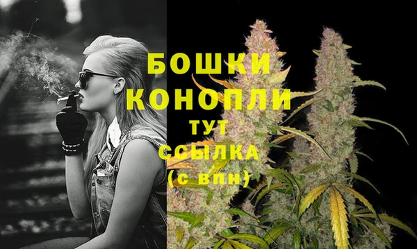 ECSTASY Белокуриха