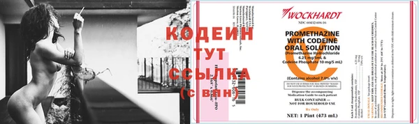 мяу мяу мука Баксан